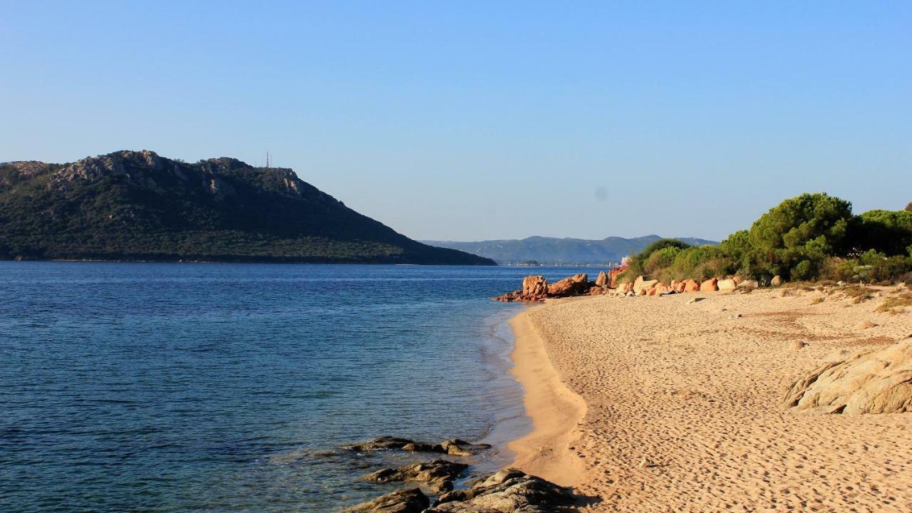 Villas Cala Corsa - 3 Et 4 Chambres - Cala Rossa Porto-Vecchio - Villas Entierement Climatisees Avec Piscine Chauffee Partagee Et Piscines Privees - Internet Gratuit מראה חיצוני תמונה